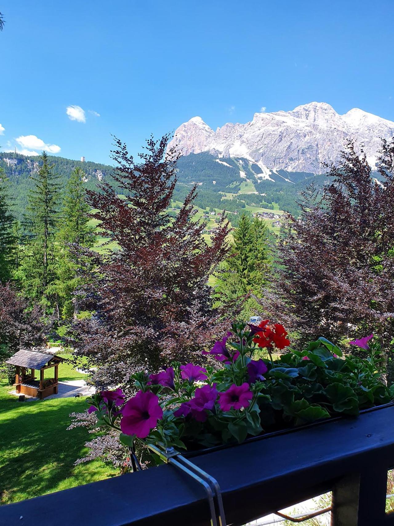 B&B Cristallo Cortina dʼAmpezzo Exterior foto